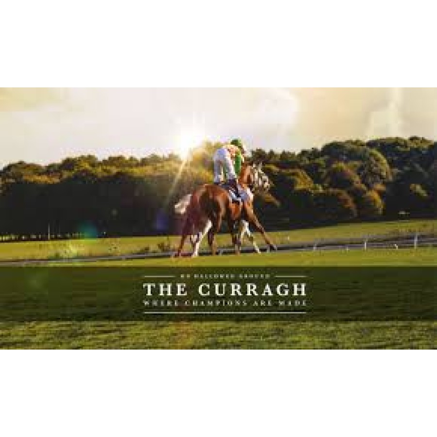 The Curragh Racecourse